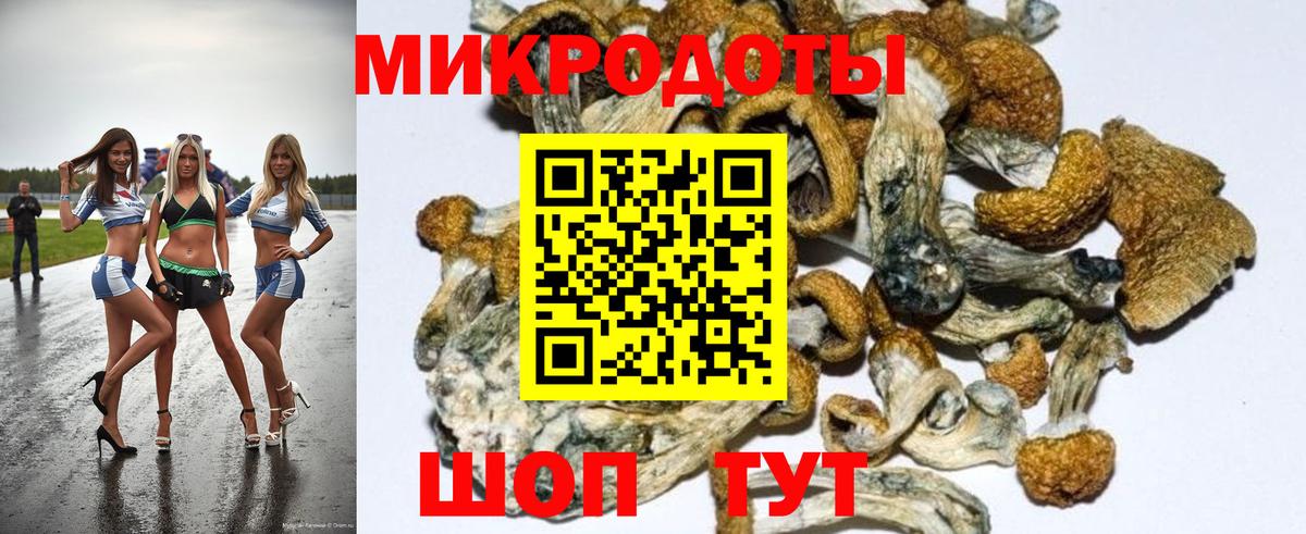 Псилоцибиновые грибы прущие грибы  Галлюциногенные грибы Cubensis  Ачхой-Мартан  купить закладку  Вход с VPN 