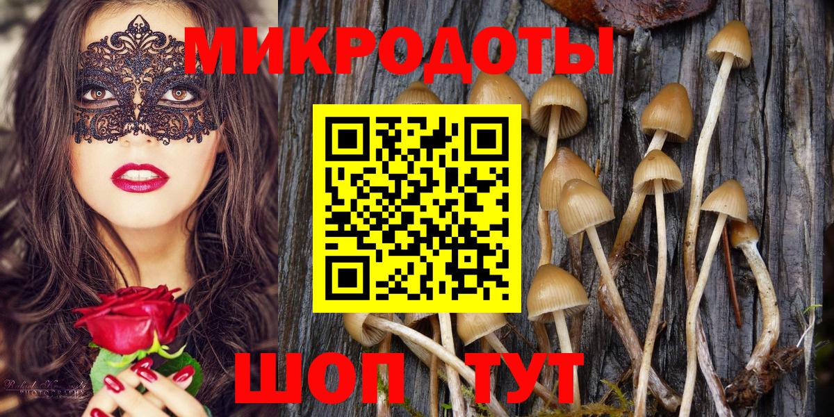 Псилоцибиновые грибы Magic Shrooms Ачхой-Мартан